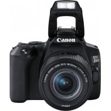Зеркальный фотоаппарат CANON EOS 250D kit ( EF-S 18-55mm f/1:4-5.6 IS STM),  черный (1) (cl-1144223)