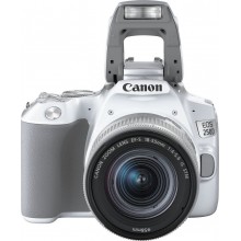 Зеркальный фотоаппарат CANON EOS 250D kit ( EF-S 18-55mm f/1:4-5.6 IS STM),  белый (1) (cl-1144228)