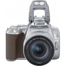 Зеркальный фотоаппарат CANON EOS 250D kit ( EF-S 18-55mm f/1:4-5.6 IS STM),  серебристый (1) (cl-1144230)